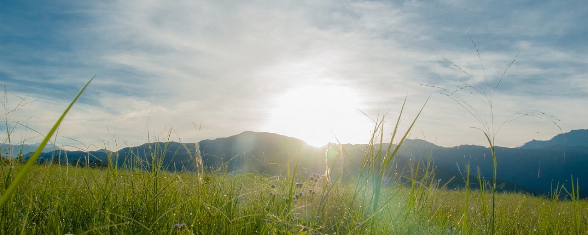 Read more about the article Energy and Climate Change