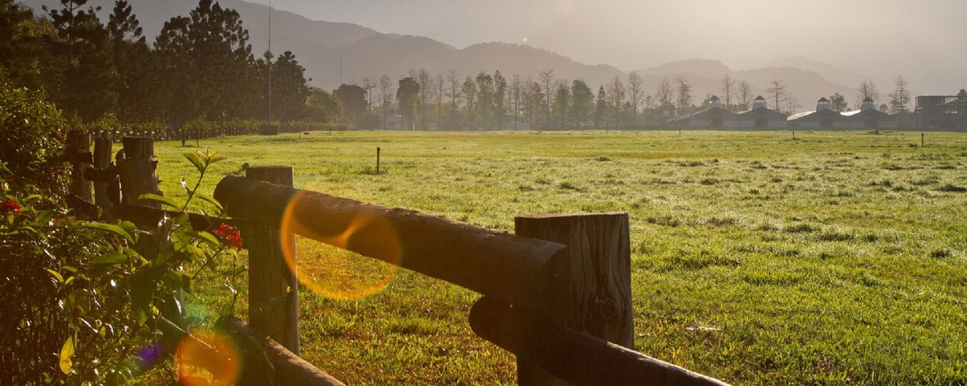 Read more about the article Setting and Infrastructure